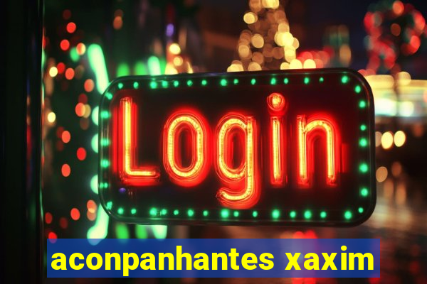 aconpanhantes xaxim